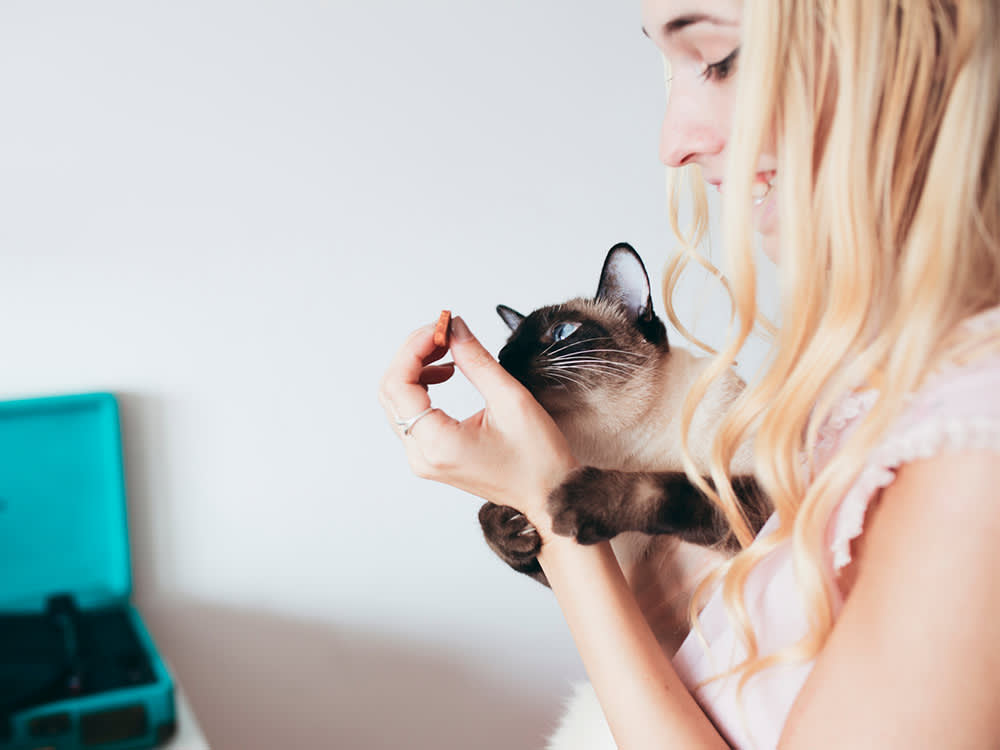 The Real Problem With Feeding Your Cat Ham Isn't Toxicity. It's Math