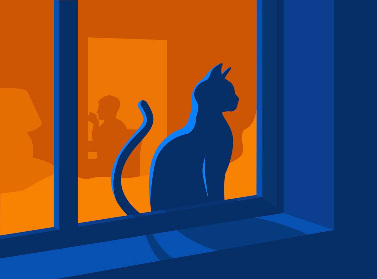 Your Cat Holds a Picture of You in Their Head, Even When You Leave the Room