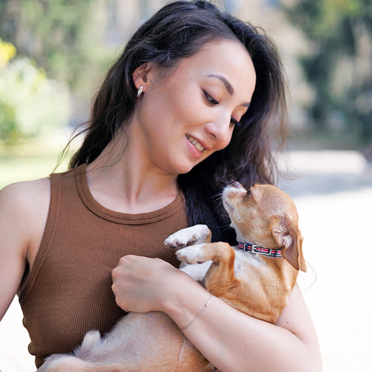 Your Chihuahua Isn't Needy. You're Holding a Companion Dog That Fits in a Purse.