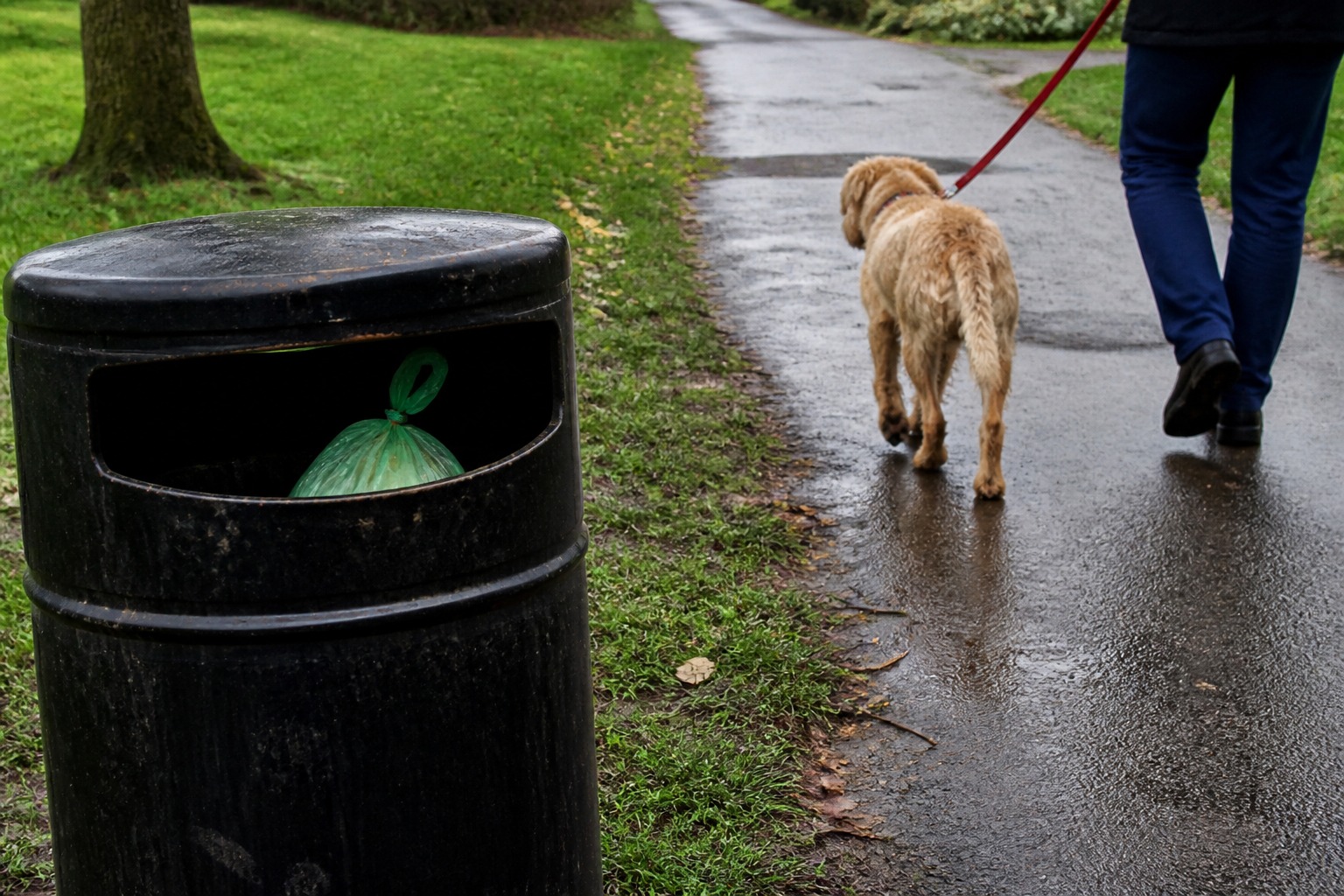 The Poop-Bag Label You Trust Is Probably Lying. Here's the One That Isn't
