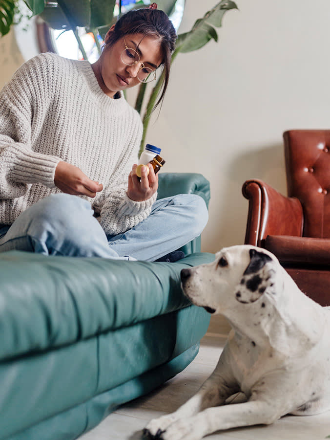 A Constipated Dog Usually Needs Water, Not a Vet. Here's How to Tell the Difference