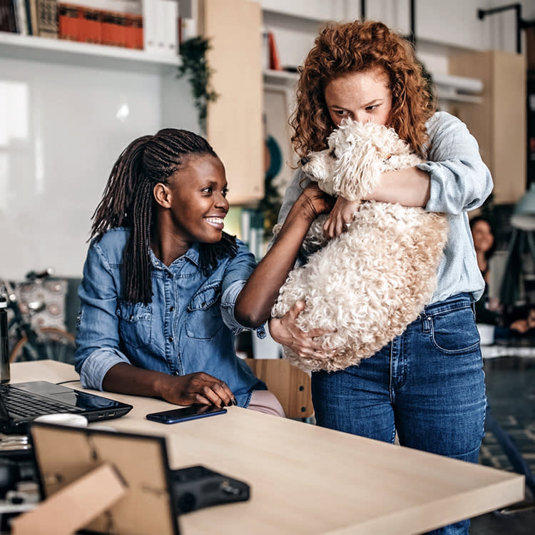 The Co-Working Shakeout Had a Survival Trait: Letting the Dog In