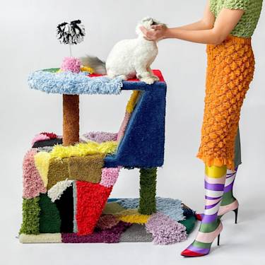 Cat Haus