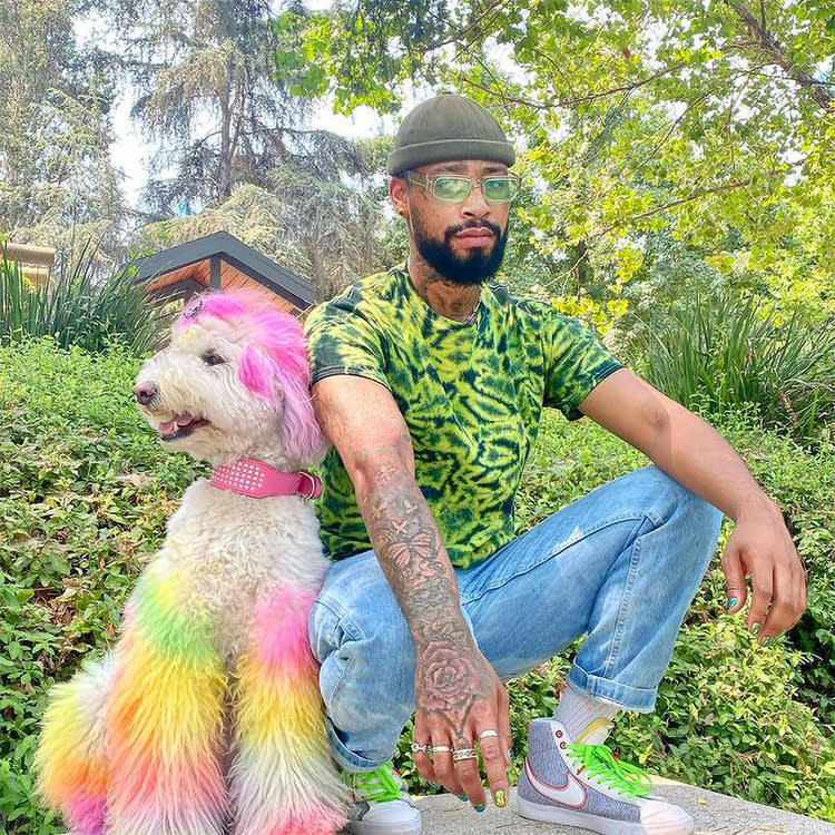 Rainbow Dogs Are Everywhere. Two Products Separate Art From an ER Visit.