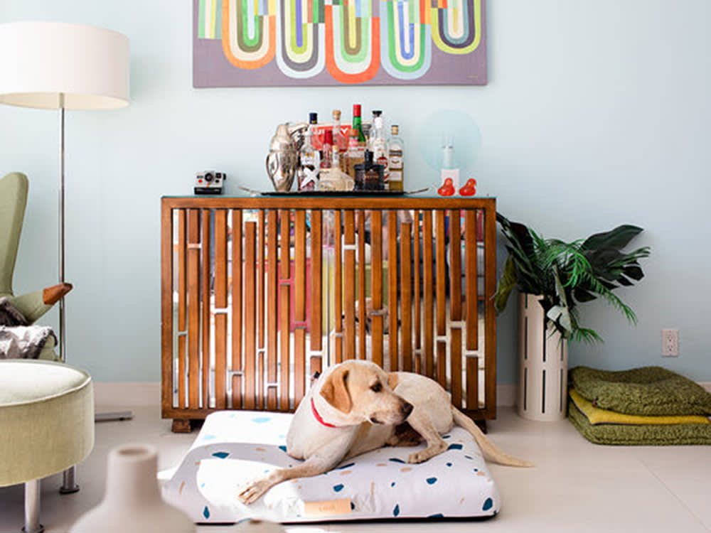 The Prettiest Dog Bed of the Terrazzo Era Was Really an Elegy