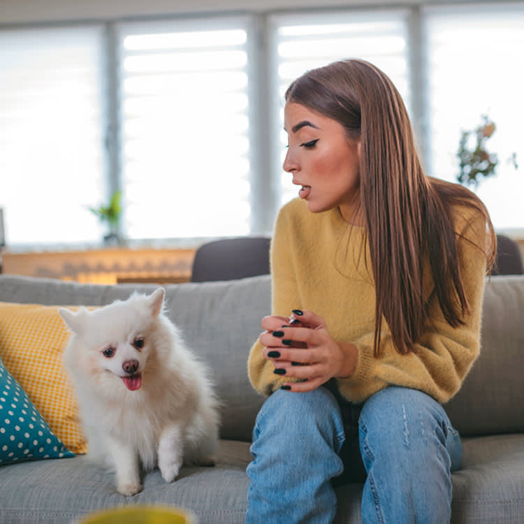 No, Not Liking Dogs Doesn't Make Someone a Sociopath