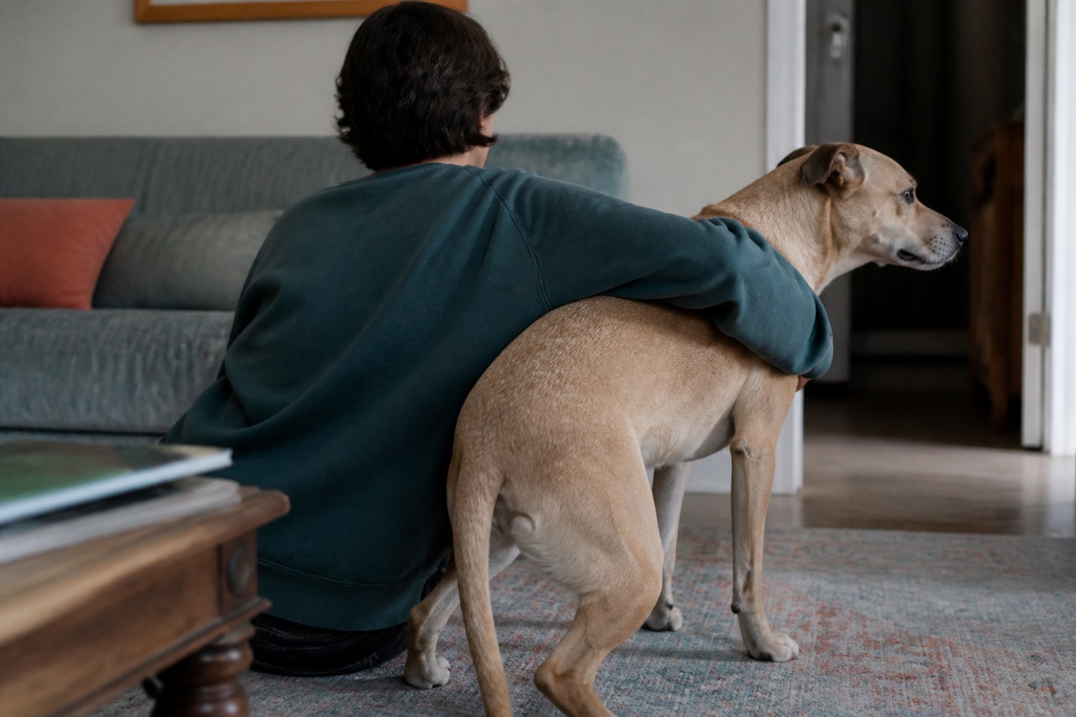 Your Dog Tolerates Your Hugs. That's Not the Same as Liking Them.