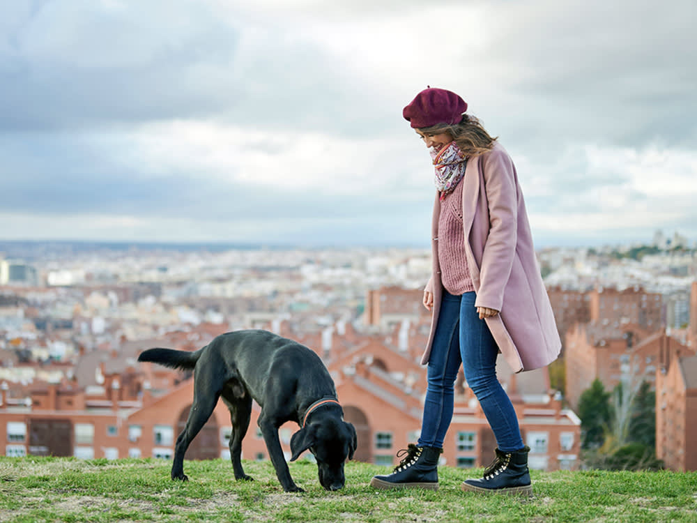 Yes, Dogs Line Up With Earth's Magnetic Field to Poop. No, It's Not as Solid as It Sounds.