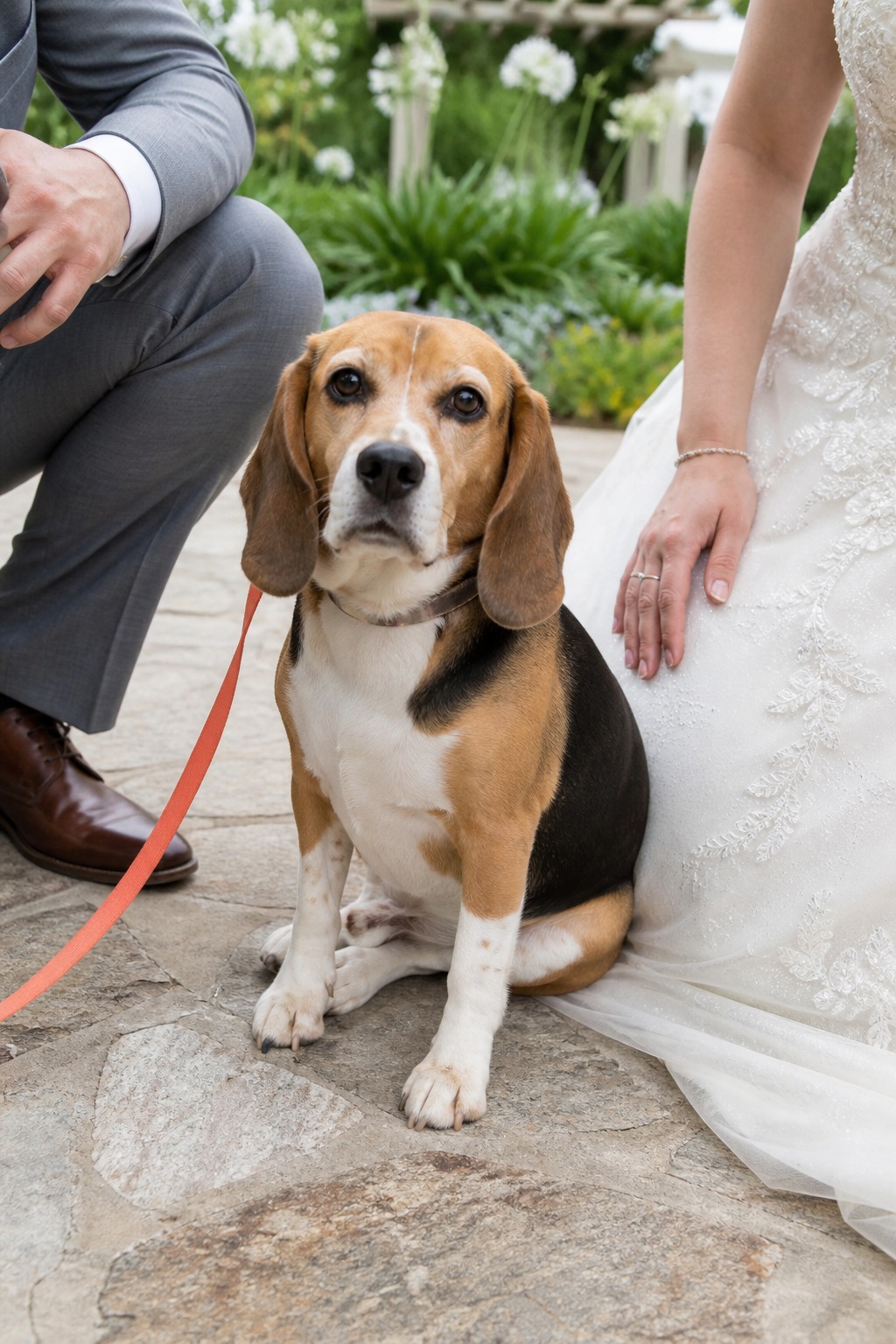 Your Dog Probably Doesn't Want to Be in Your Wedding