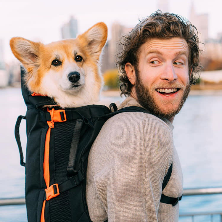 The Subway Banned Loose Dogs. One Backpack Is the Loophole That Actually Works.