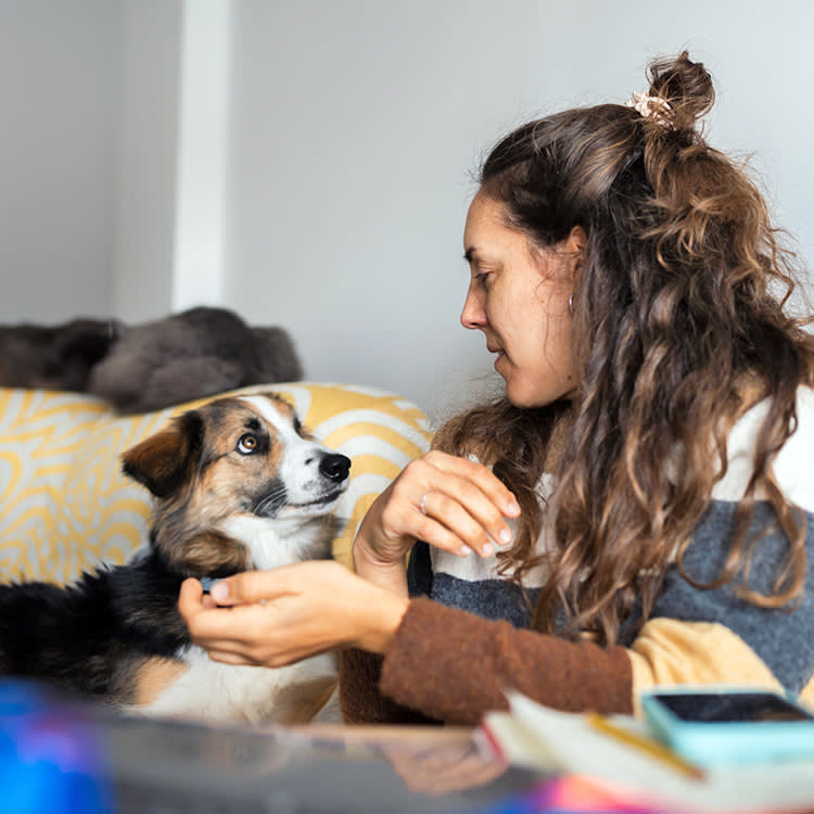 Your Dog's Burping Is Normal. Until It's the Thing That Kills Them.