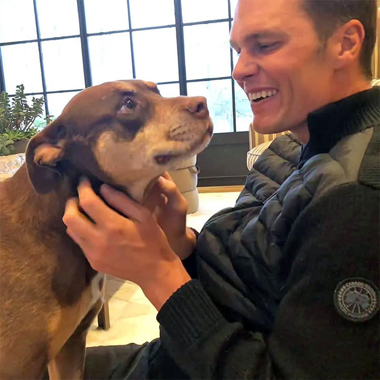 Tom Brady Cloned His Dog for $50,000. Most of Gen Z Says They'd Do It Too.