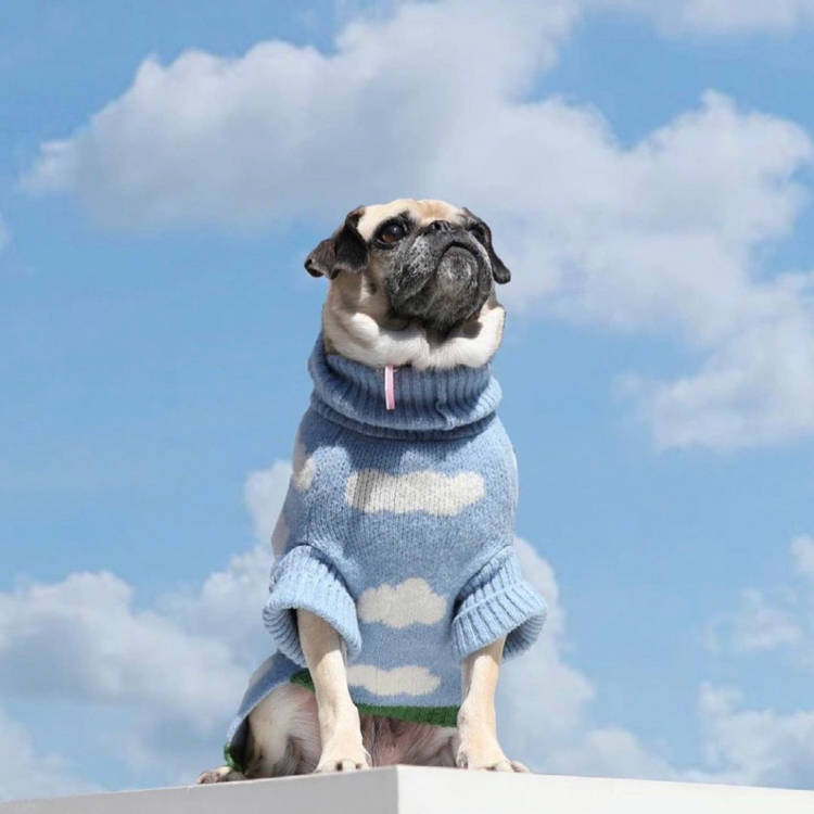 Dog Clothes Got Good. This Brand Is the Reason.