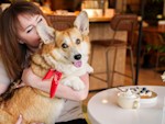 One Lick of Cool Whip Won't Hurt Your Dog. The Habit Will.