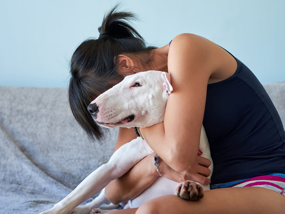 To Cry Is Human—and Apparently Canine