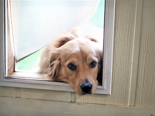 Before You Cut a Hole in Your House, Answer This: What Else Can Fit Through It?