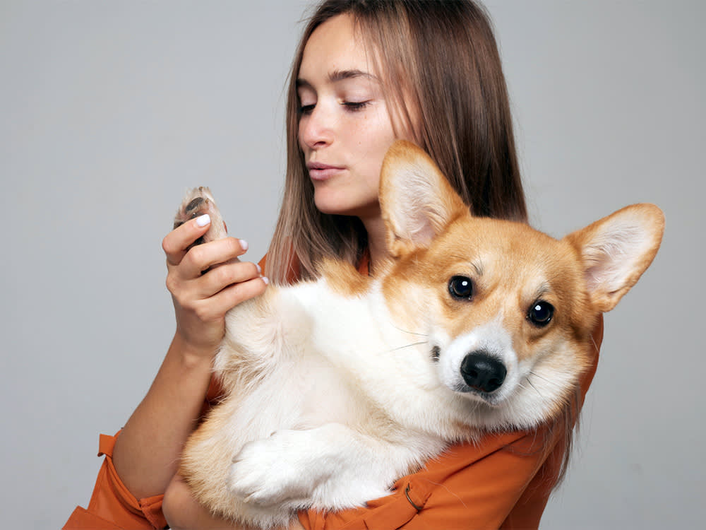 Your Dog's Cracked Paws Are Trying to Tell You Something