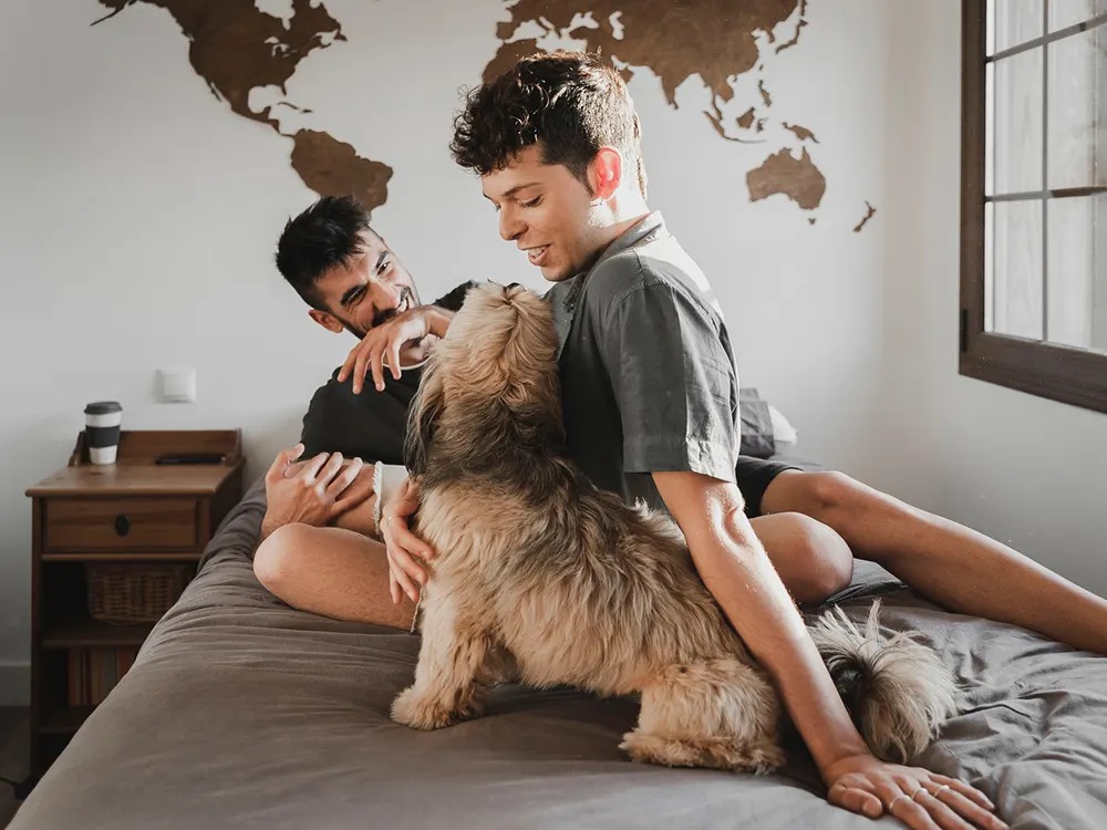 Your Dog's Farts Are Trying to Tell You Something