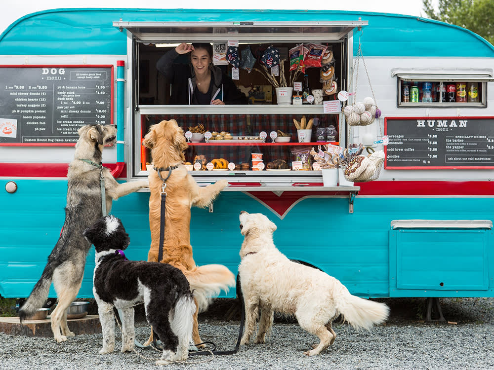 Your Dog Deserves a Food Truck Run. 8 Worth Chasing Down.