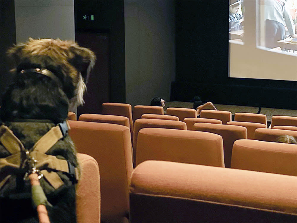 In the UK, Dogs Go to the Movies Every Week. American Dogs Are Still Waiting