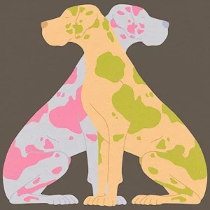 Your Dog's DNA Isn't the Whole Story. The Part You Can Actually Change Is.