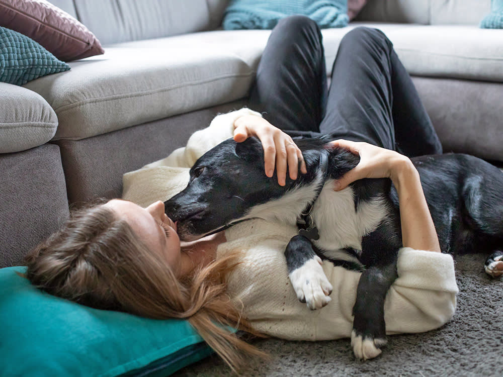 Your Dog's Germs Won't Make You Sick. Your Habits Might