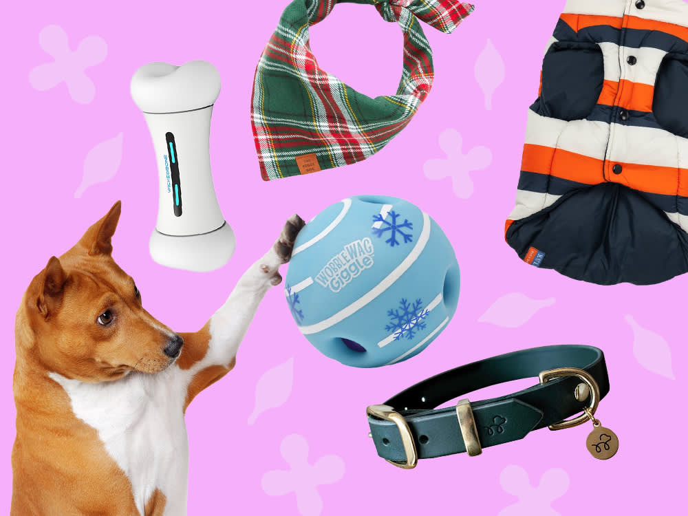 12 Holiday Gifts Your Dog Will Actually Use, Not Just Unwrap