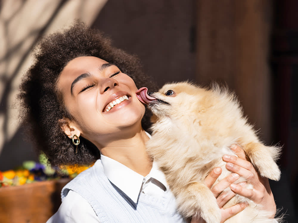 Dog Saliva Isn't Dirty. It's Just Brutal on Your Face.