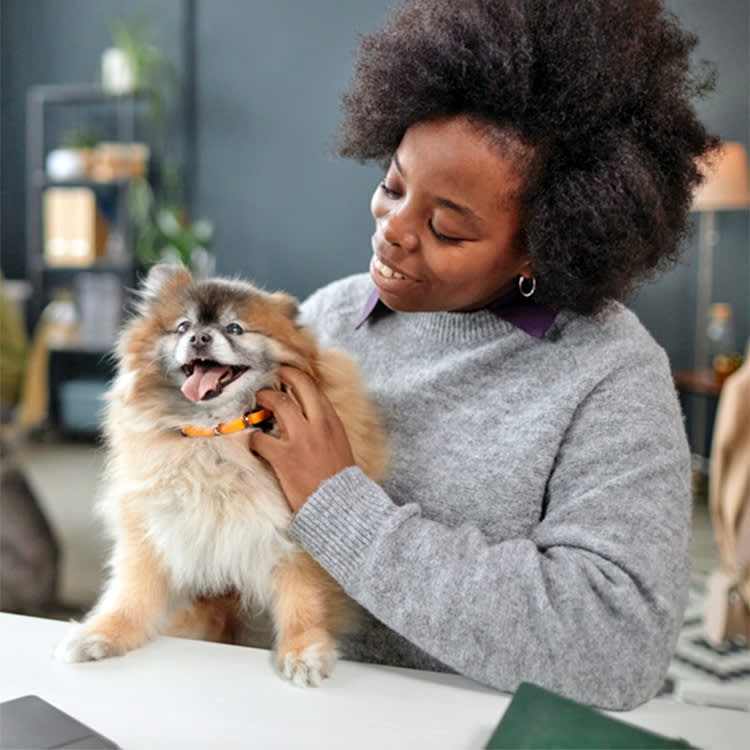 Most Dog "Longevity" Supplements Are Guesswork. 9 That Aren't.