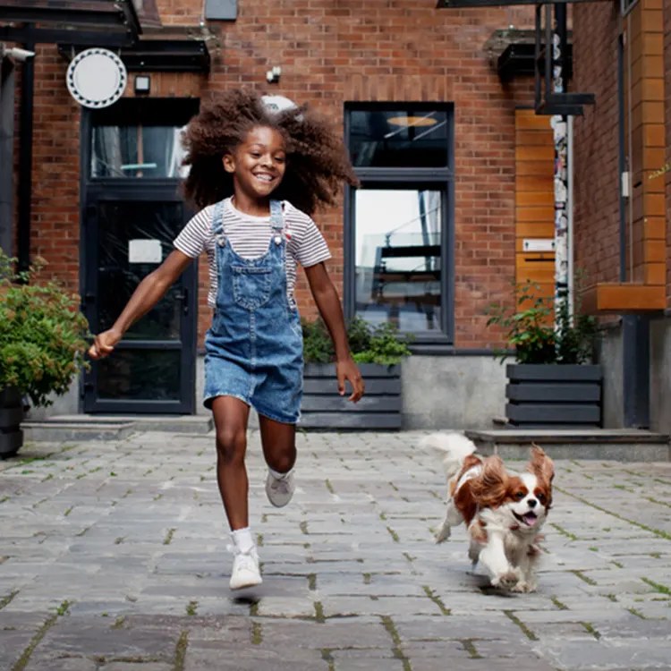 Your Kid Wants a Dog. The Data Says Give In, Especially for Daughters.