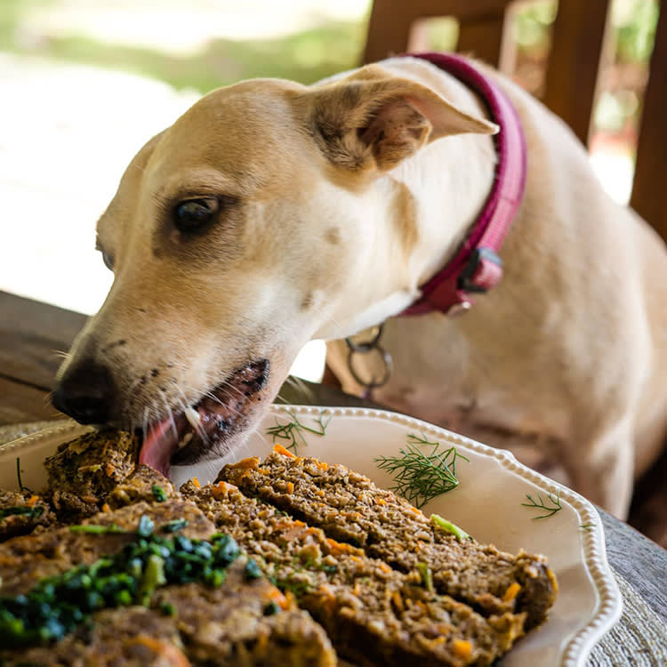 Your Meatloaf Could Hospitalize Your Dog. This One Won't.