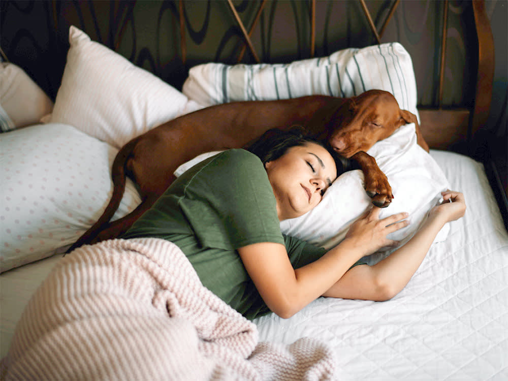 Everyone Gives Their Dog Melatonin for Sleep. That's the One Thing It's Worst At