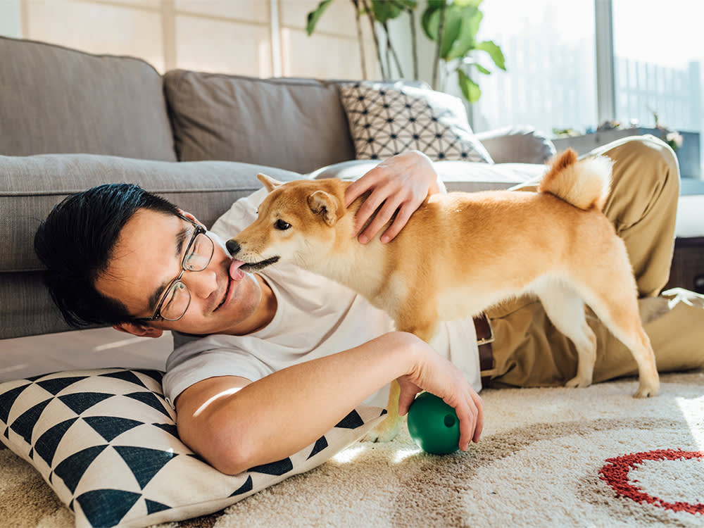Bathing Your Dog More Won't Fix the Smell. Finding It Will.