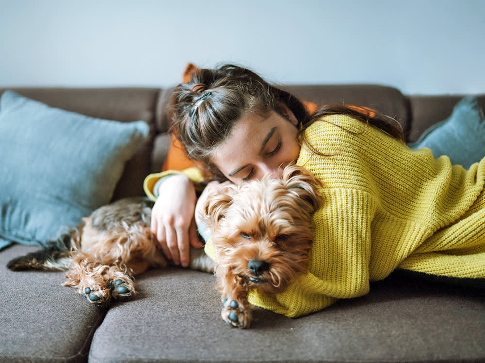 There's Nothing in Your Medicine Cabinet That Helps a Dog in Pain