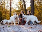 Most Dog-Park Advice Is Half True. These Are the Signals That Actually Matter