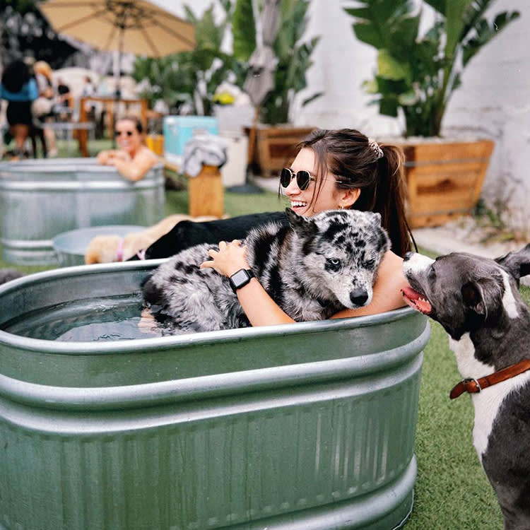 Inside the 'Soho House for Dogs,' Where a Dog Park Costs $1,400 a Year