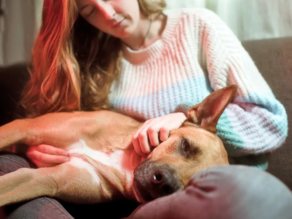 The 15-Second Skill That Tells You If Your Dog's Heart Is in Trouble