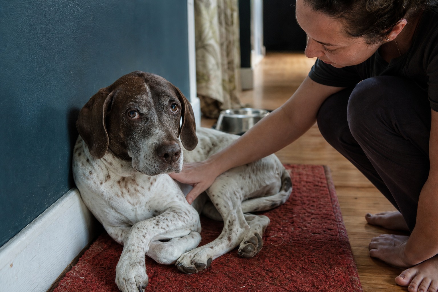 Your Dog Has Diarrhea but Seems Totally Fine. Watch the Dog, Not the Poop.