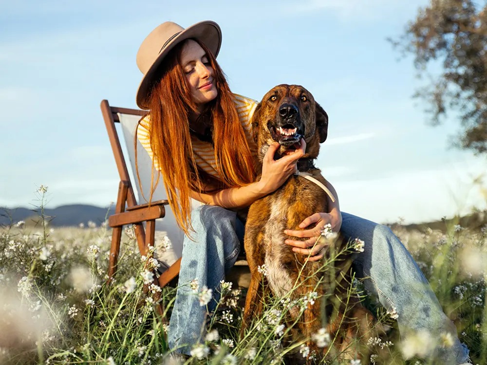 Your Itchy Dog Doesn't Need a Perfect Cure. They Need a Livable Itch.