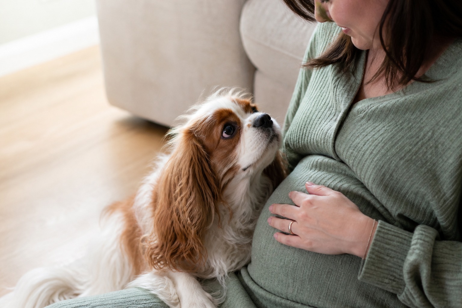 Your Dog Isn't Predicting Your Pregnancy. They're Reacting to It, and That's Useful