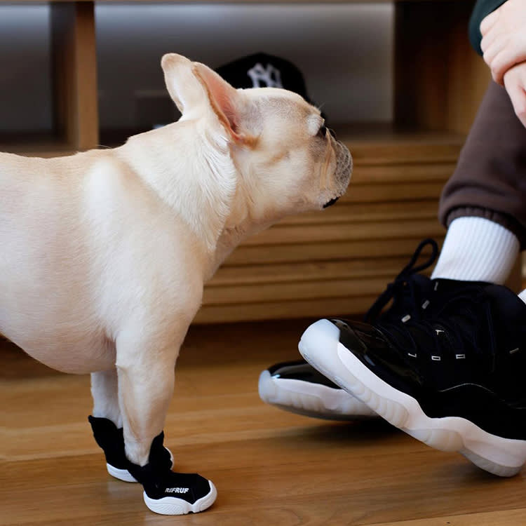 Dog Shoes Don't Fail Because They're Ugly. They Fail Because They Fall Off.