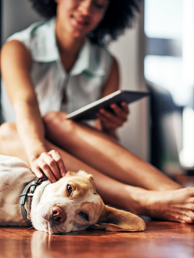 You Found a Lump on Your Dog. Here's What It Might Be, and When to Worry.