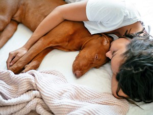 Your Dog's Sleep-Twitching Is Almost Always a Dream. Here's When It Isn't.