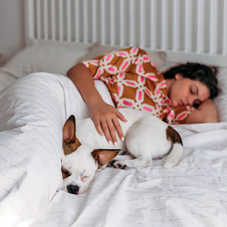 Your Dog Sleeps Pressed Against You. The Night That Changes Is the One to Notice.