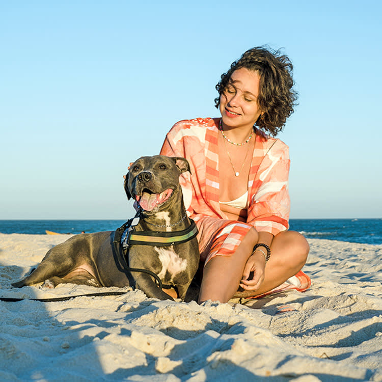 The Summer Dog Mistake That Lands Pups in the ER