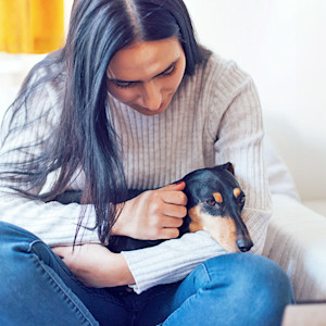 Your Dog Pukes Every Morning? It's Probably the Clock, Not a Disease.