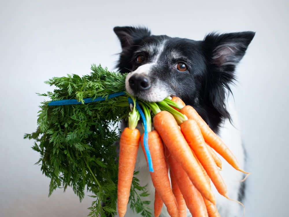 Skip the Supplement Aisle. Your Dog Gets These From Real Food.
