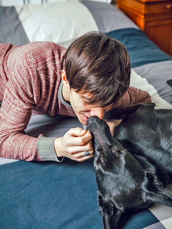 Those Aren't Face Decorations. Your Dog 'Feels' the World With Them — So Don't Trim Them.