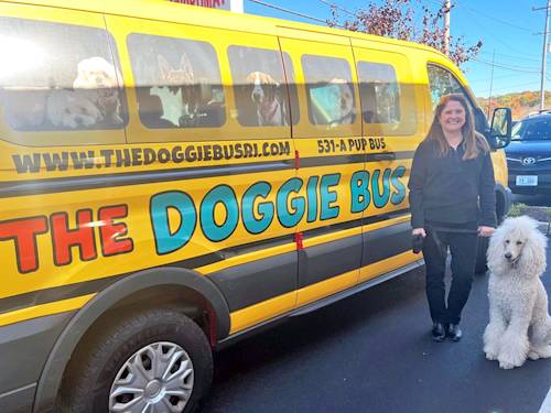 This Bright Yellow Bus Is Basically Uber, but Every Passenger Has Four Legs