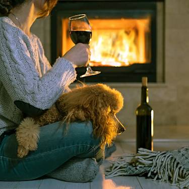 There's No Cute Buzz for Dogs. Alcohol Goes Straight to Poisoning.